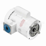 114317 Leeson Motor