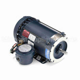 116616 Leeson Motor