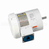 116644 Leeson Motor