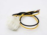 1171676 International Comfort Products Blower Assembly Wiring Harness