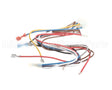 1171698 International Comfort Products Harness-Control Board
