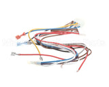 1171698 International Comfort Products Harness-Control Board