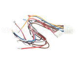 1171698 International Comfort Products Harness-Control Board