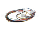 1174913 International Comfort Products Wiring Harness
