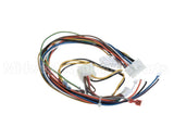 1174913 International Comfort Products Wiring Harness