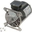 1175568 Compatible Southbend Motor, Convection Oven - 208/240V