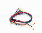 1175724 Southbend Range Wire Harness