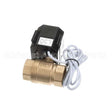117659 Compatible Champion Valveball, 1"Npt Brass, 110-230V Elec