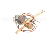 1177317 International Comfort Products 2Ton Txv