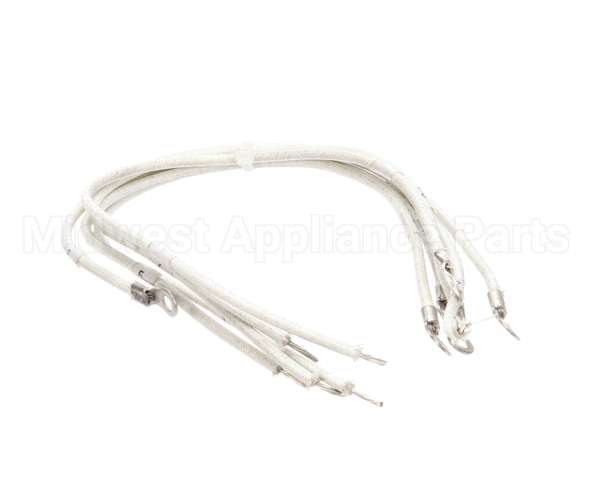 1177878 Southbend Range Element Leads, R2