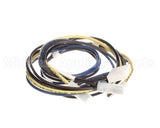 1178160 International Comfort Products Compressor Harness Cl01/Comp1