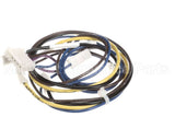 1178160 International Comfort Products Compressor Harness Cl01/Comp1