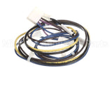 1178160 International Comfort Products Compressor Harness Cl01/Comp1