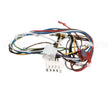 1178976 International Comfort Products Harness Assembly Ecmx