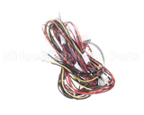1179252 International Comfort Products Harness Asy Hp Control