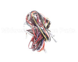 1179252 International Comfort Products Harness Asy Hp Control