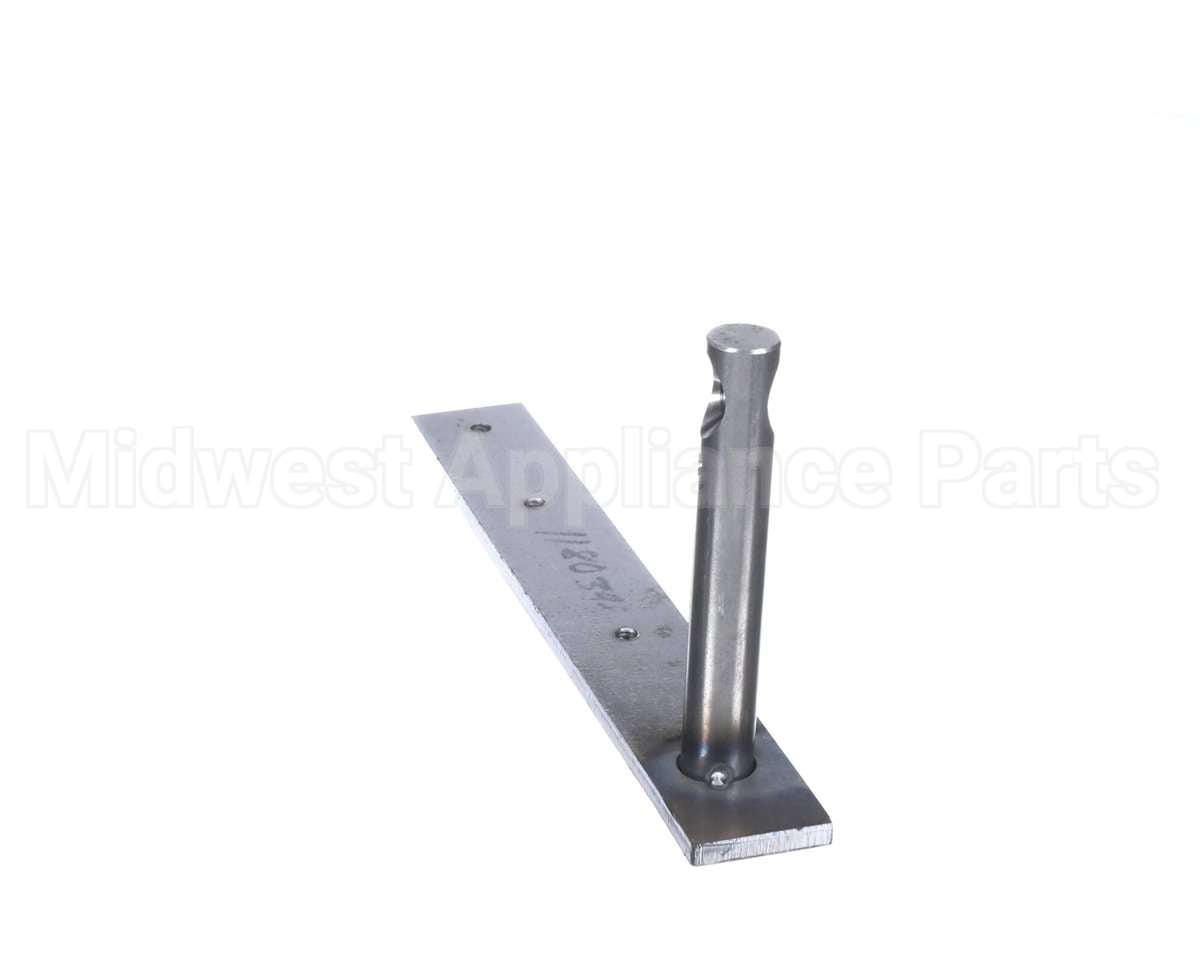 1180398 Garland Lt Door Hinge Assy