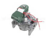 118269 Pvi Gas Valve