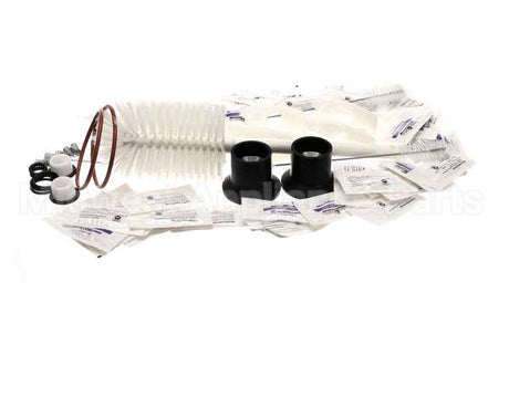 1183277 Stoelting 12 Month Tune-Up Kit F144