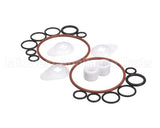 1183450 Stoelting Minor Tune Up Kit