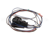 1185260 International Comfort Products Harness Asy Comp Solenoid
