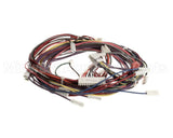 1188380 International Comfort Products Harness Asy (Yac Ctrl)
