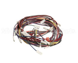 1188380 International Comfort Products Harness Asy (Yac Ctrl)