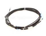 1189814 Southbend Range Wire Harness,Standing Pilot Co