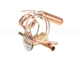 1191310 International Comfort Products Txv