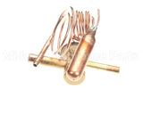 1191310 International Comfort Products Txv