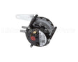 1191552 International Comfort Products Dual Pressure Switch