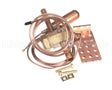1192285 International Comfort Products 6Ton Thermal Expansion Valve