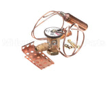 1192290 International Comfort Products Expansion Valve