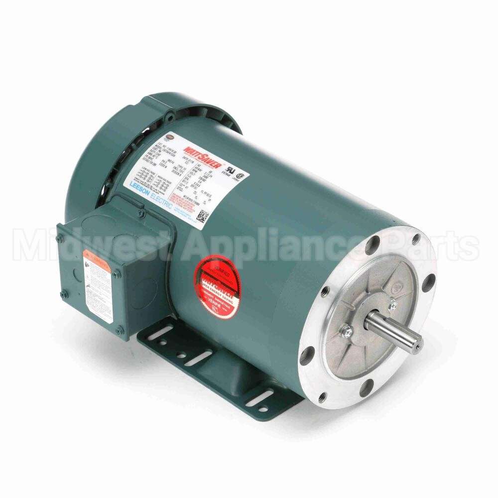 119418 Leeson Motor
