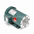 119418 Leeson Motor