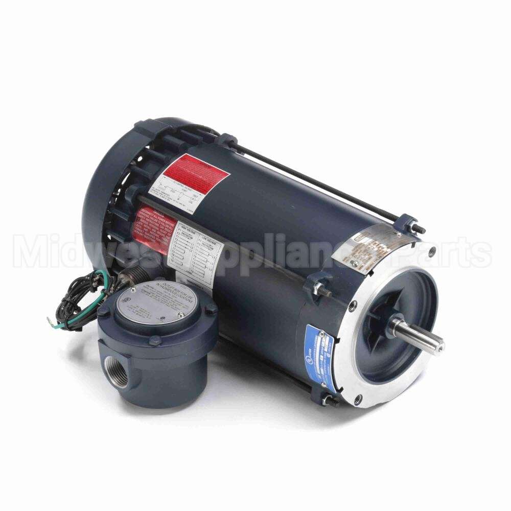 119423 Leeson Motor