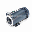 119437 Leeson Motor
