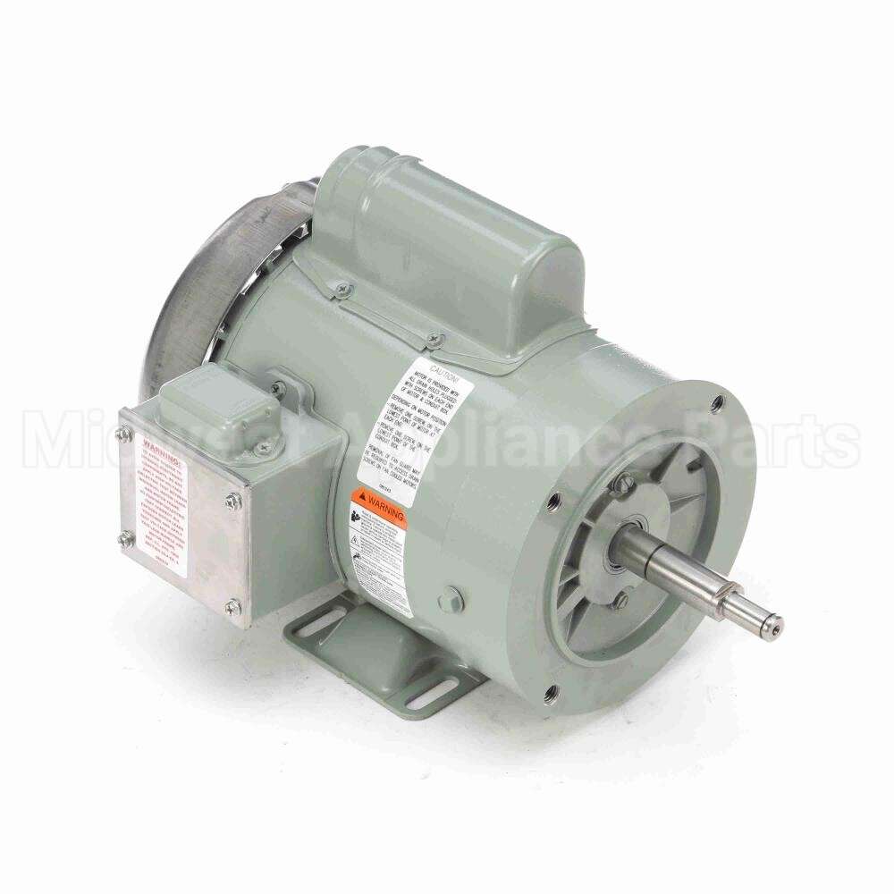 119448 Leeson Motor