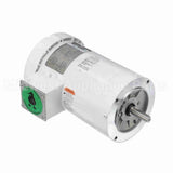119469 Leeson Motor
