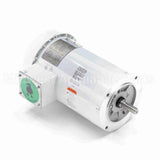 119471 Leeson Motor