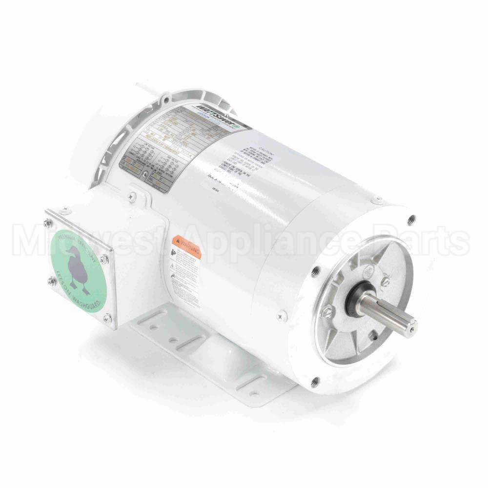 119482 Leeson Motor
