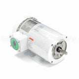 119483 Leeson Motor