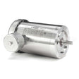 119499 Leeson Motor