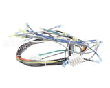 1195321 Southbend Range Control Harness, Wendys Gas