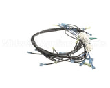 1195323 Southbend Range Control Harness, Wendys Elect
