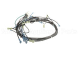 1195323 Southbend Range Control Harness, Wendys Elect