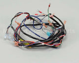 119857 Groen Harness, Control