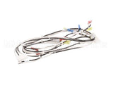 119877 Groen Harness, 120Vac