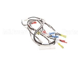119877 Groen Harness, 120Vac