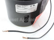11J31R01125 Sterling Hvac 115V 3000Rpm 1/20Hp Inducer
